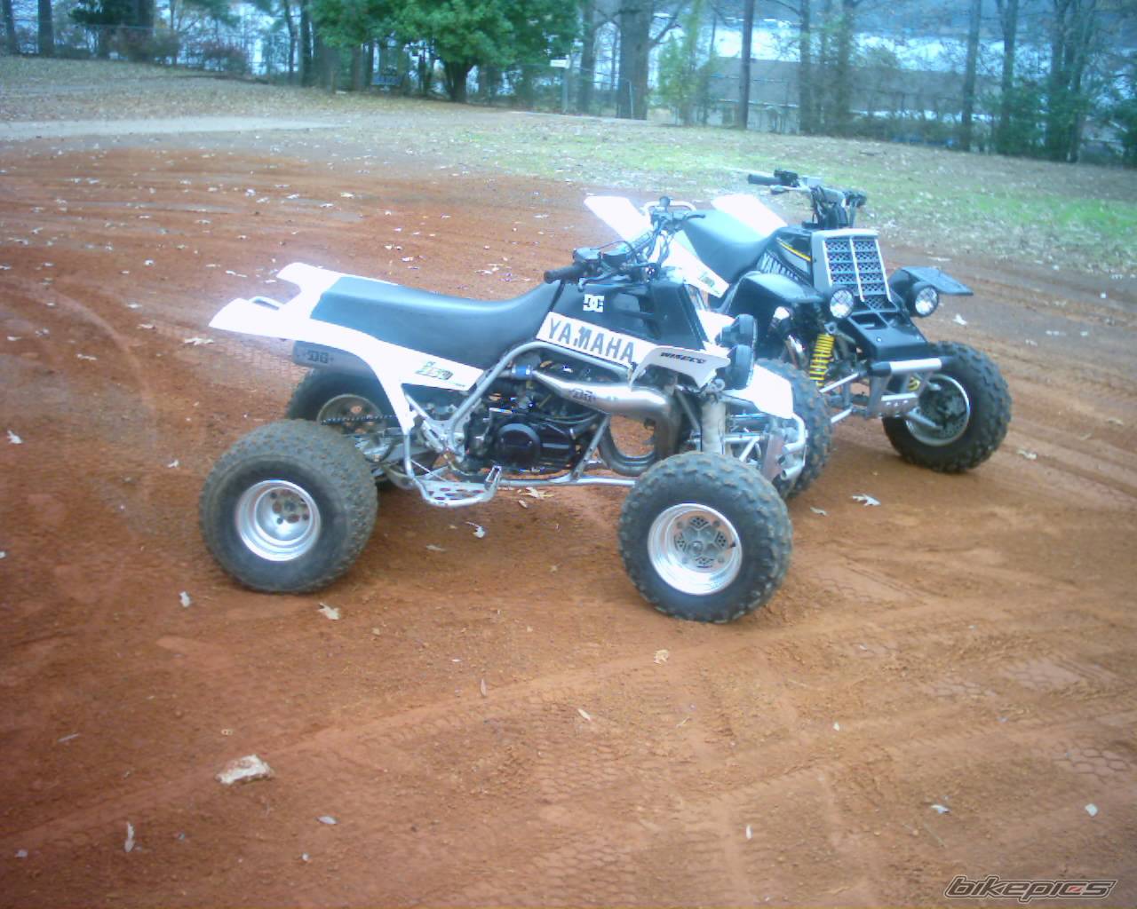 Photo 266691