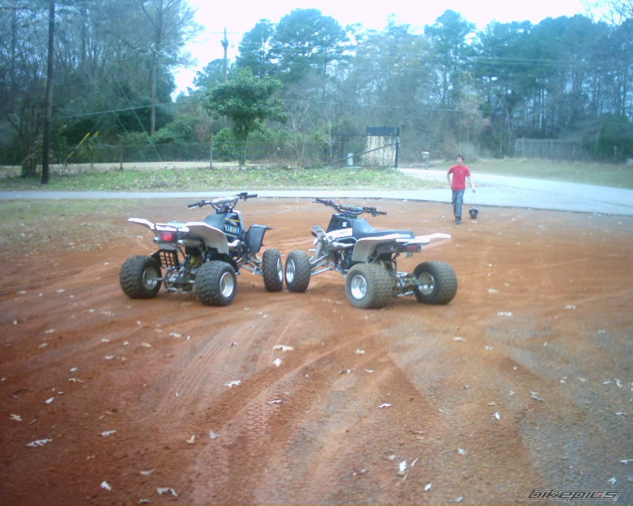 Photo 266692