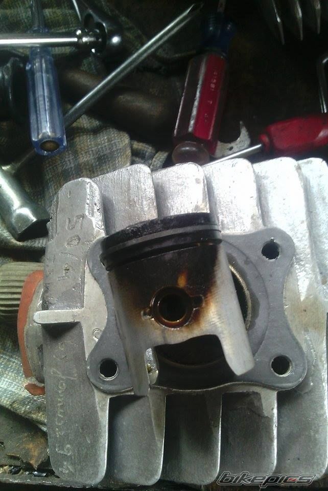 Photo 2666942