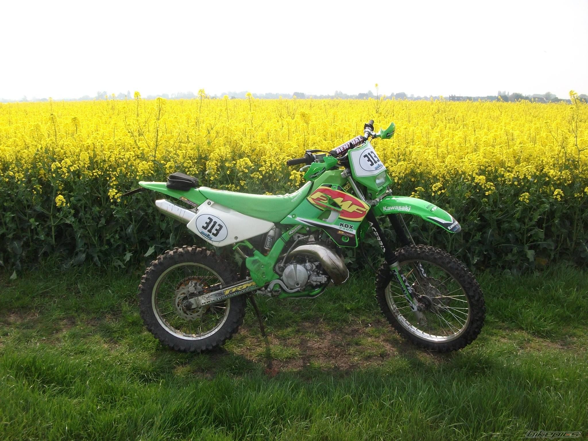 Photo 2667013