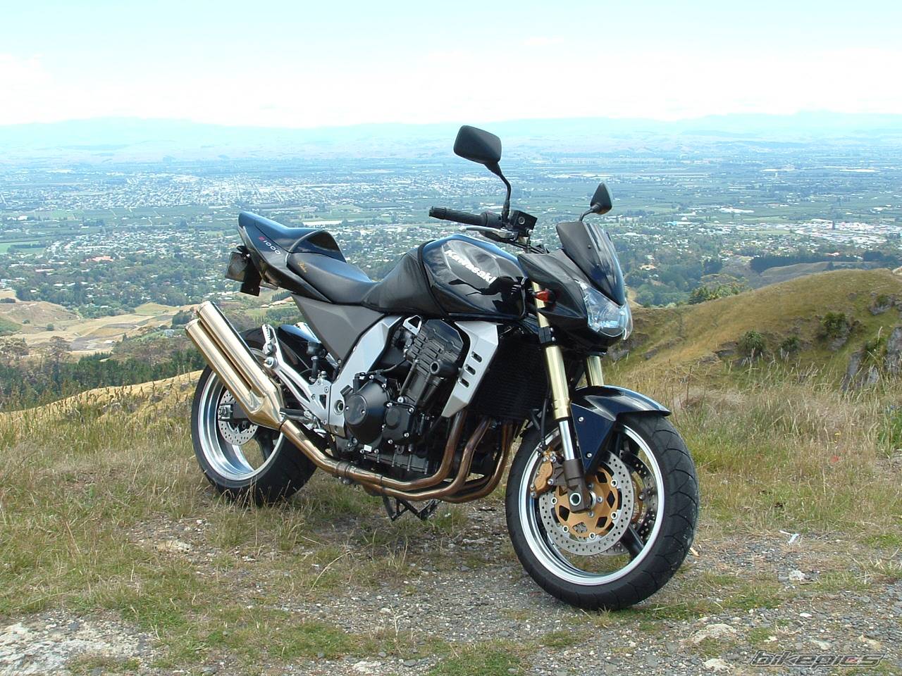 Photo 266721