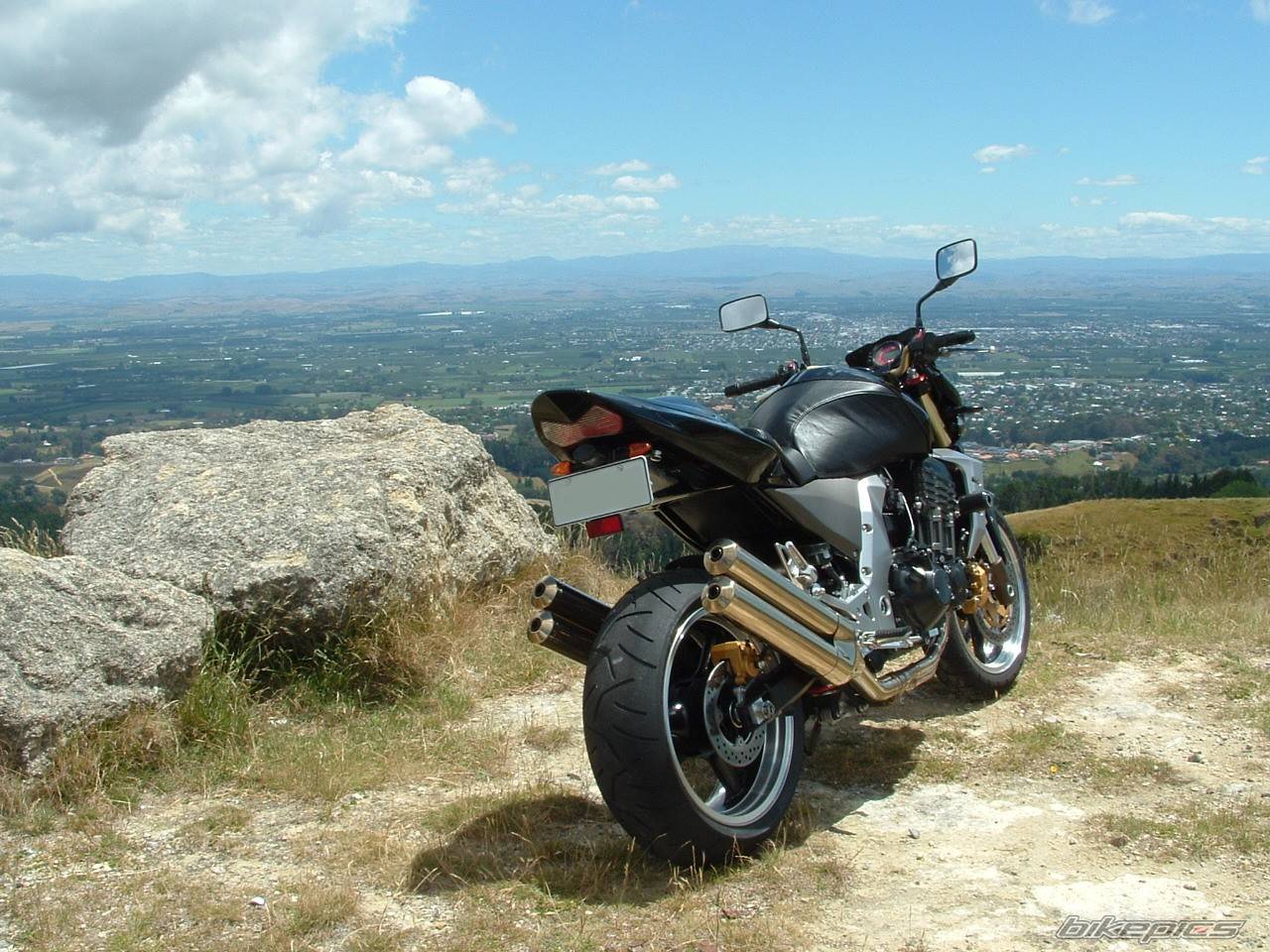 Photo 266723