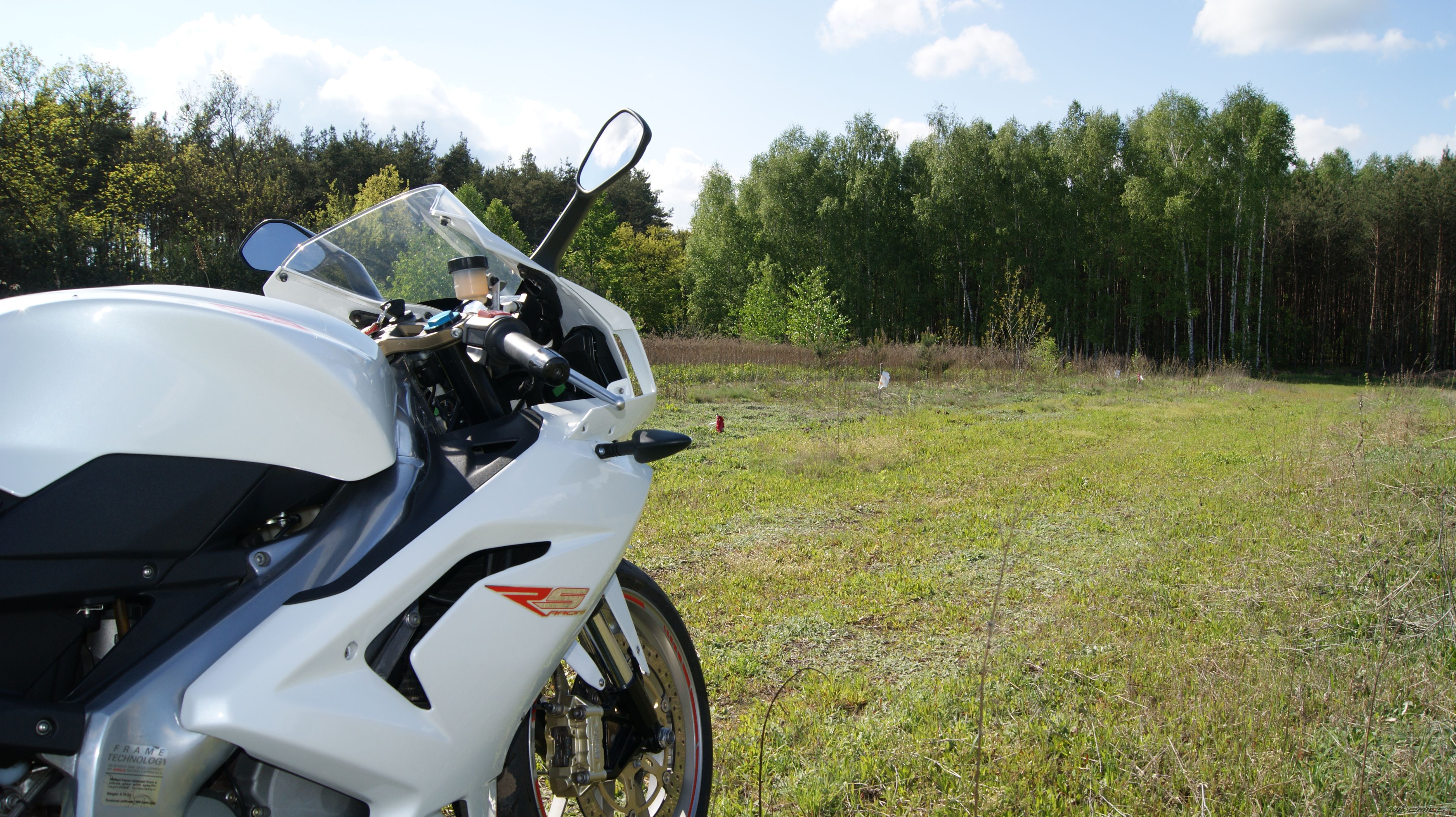 Photo 2667252