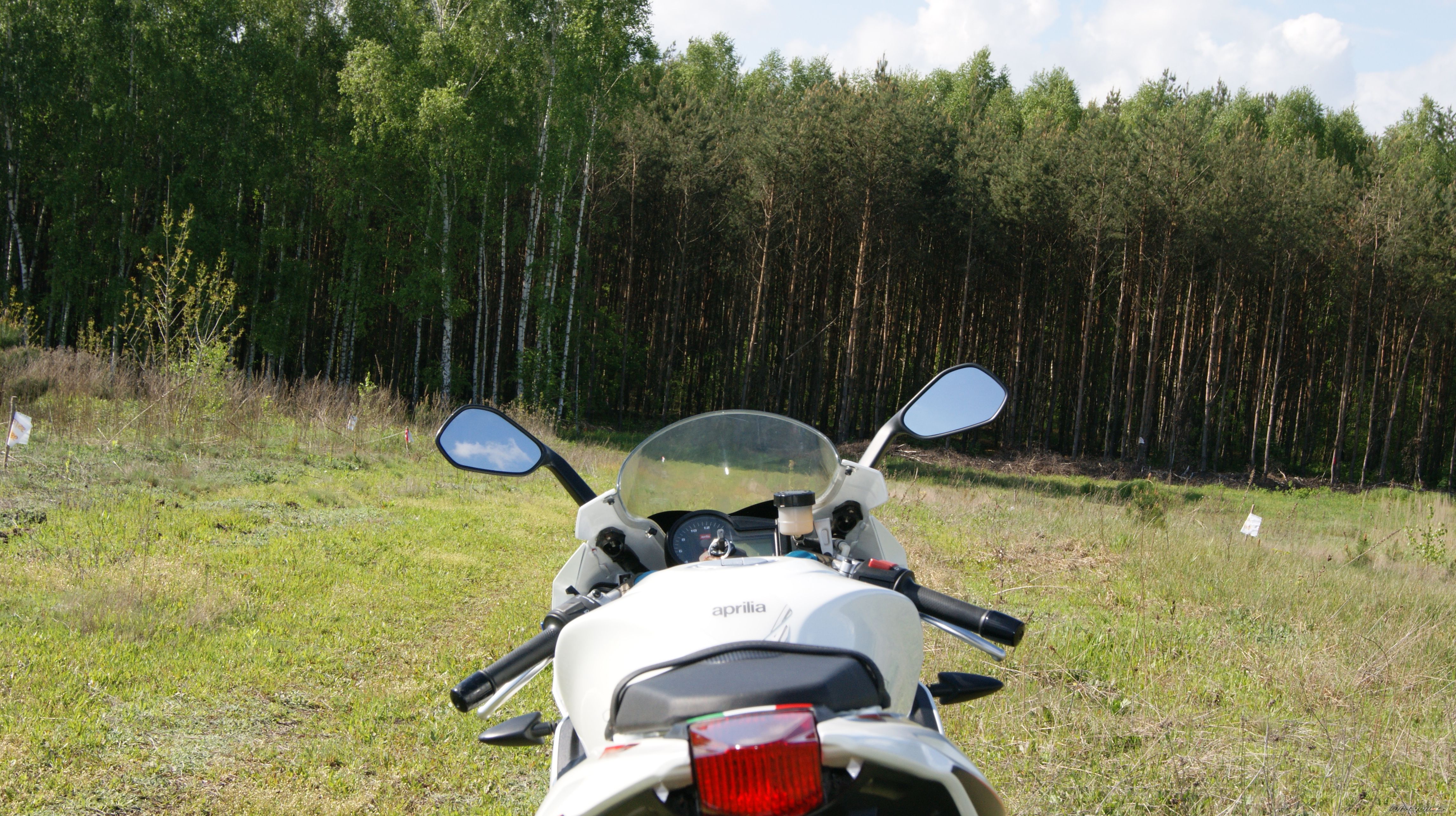 Photo 2667257