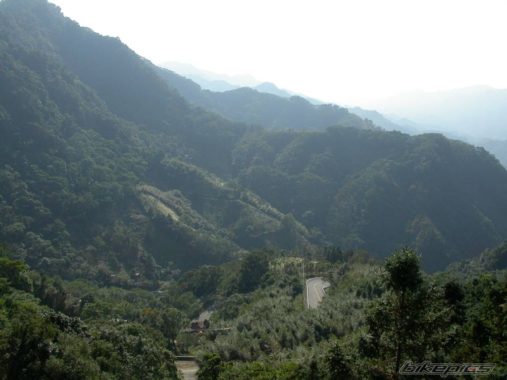 Photo 266732