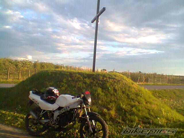 Photo 2667379