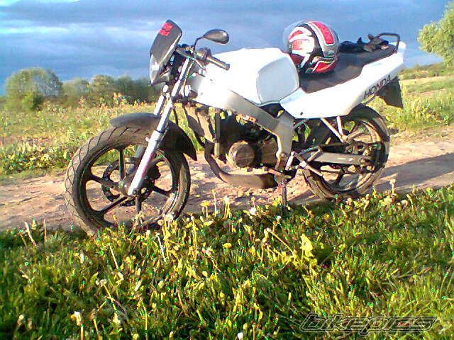 Photo 2667380