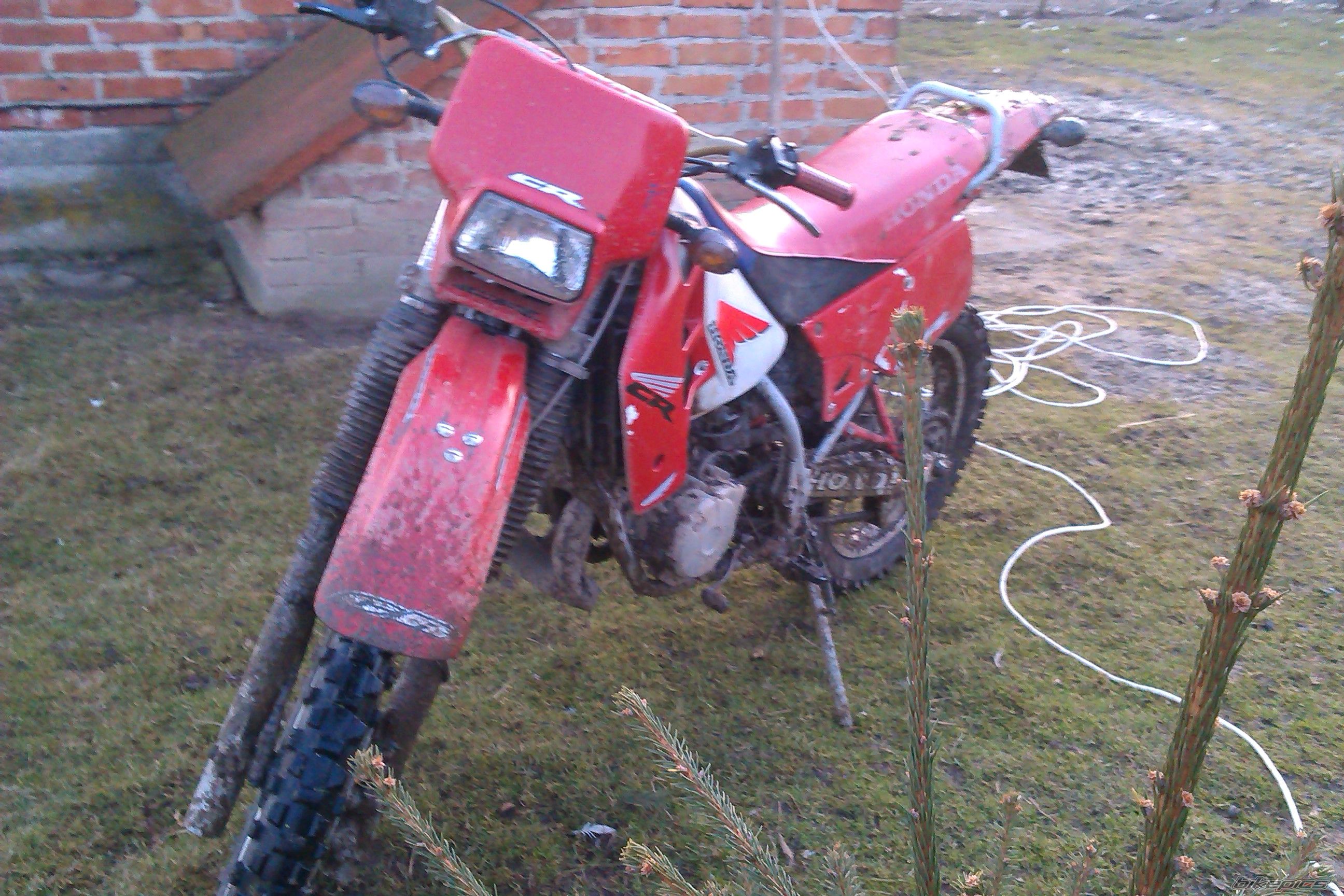 Photo 2667402