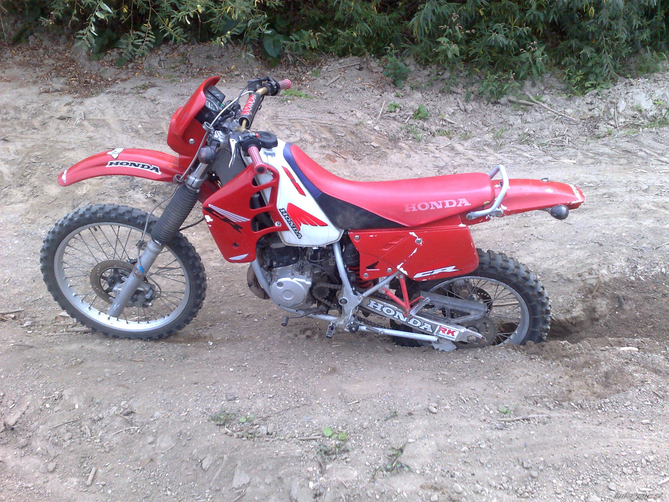 Photo 2667404
