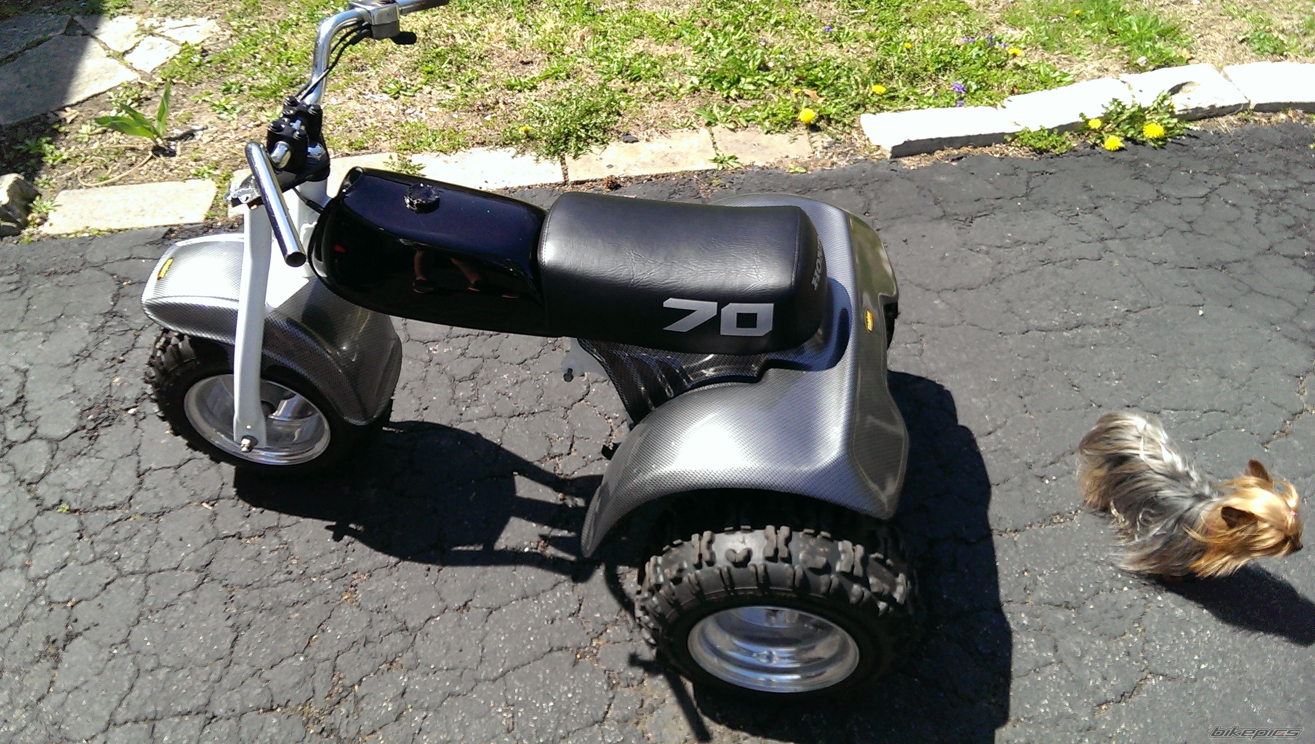 Photo 2667517