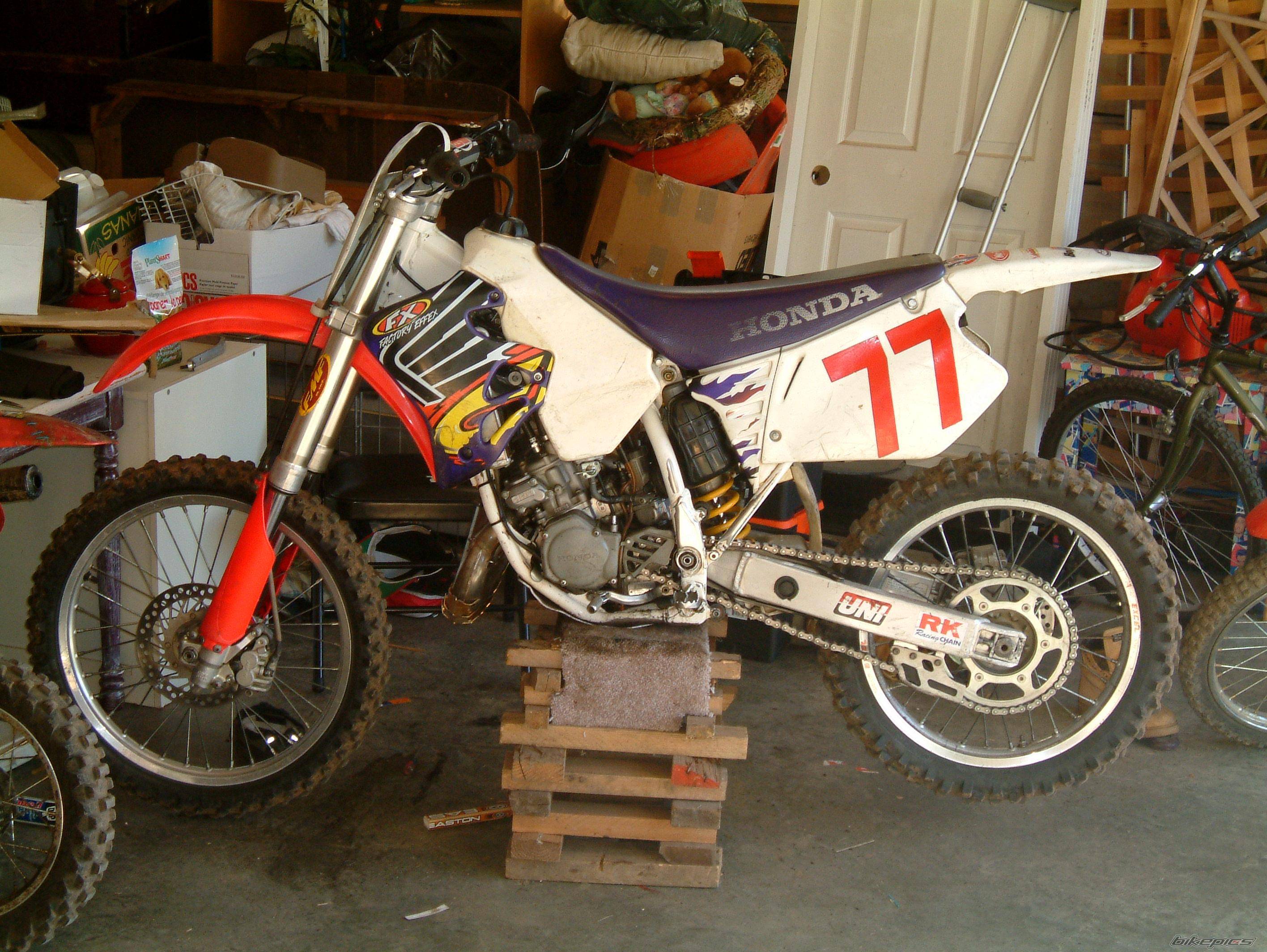 Photo 266752