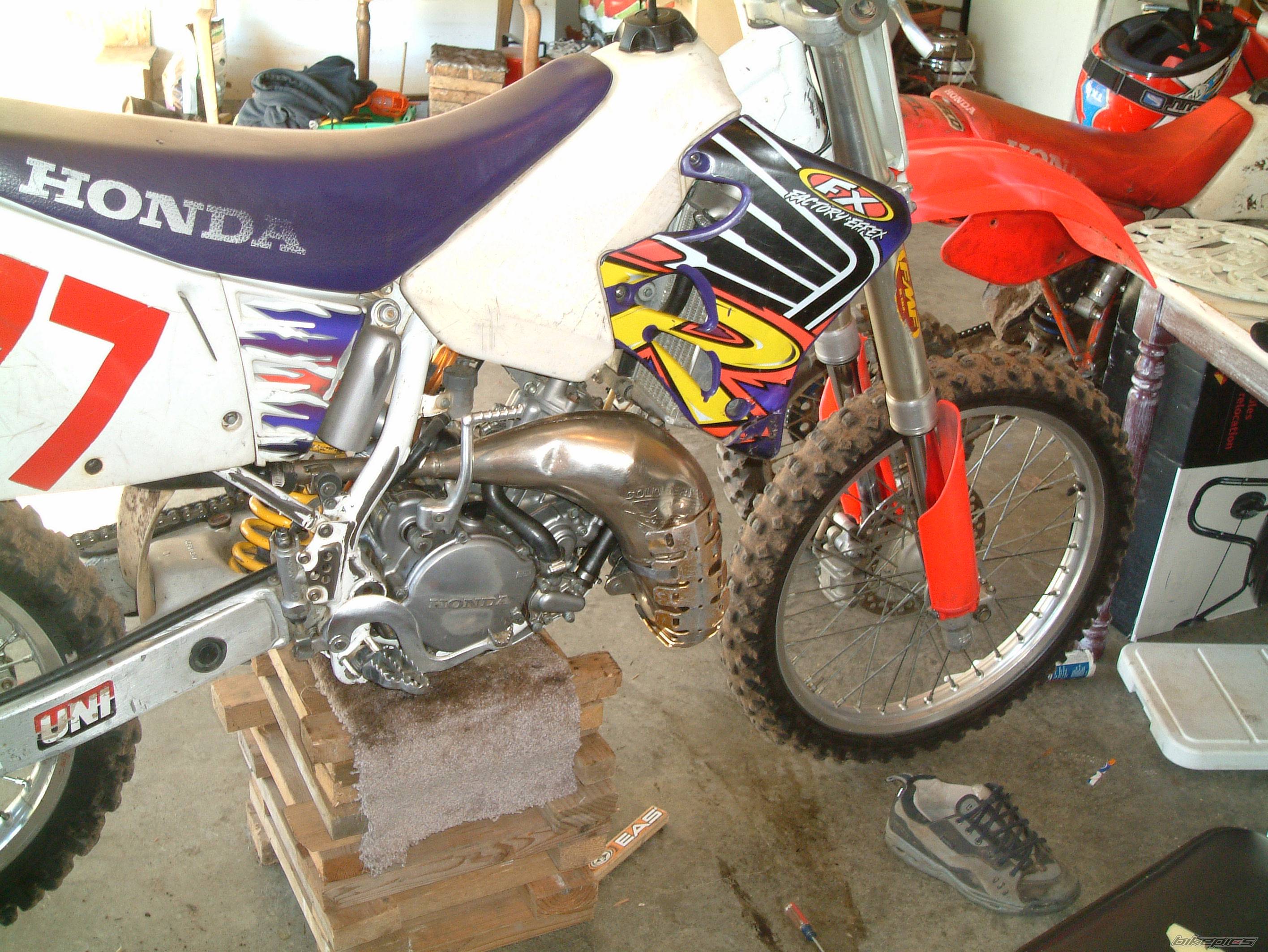 Photo 266754