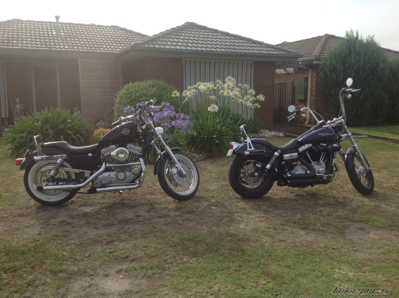 Photo 2667566