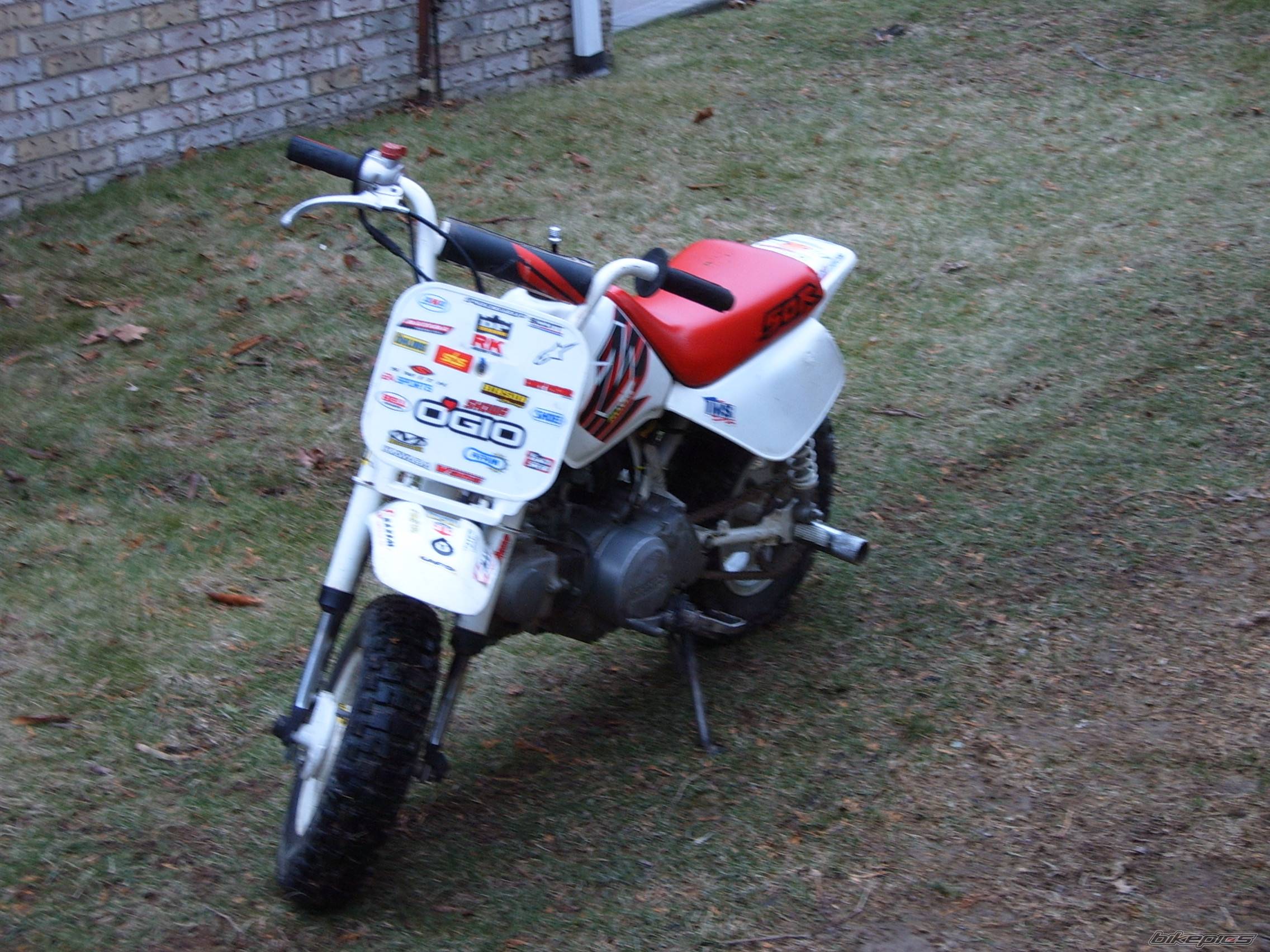Photo 266758