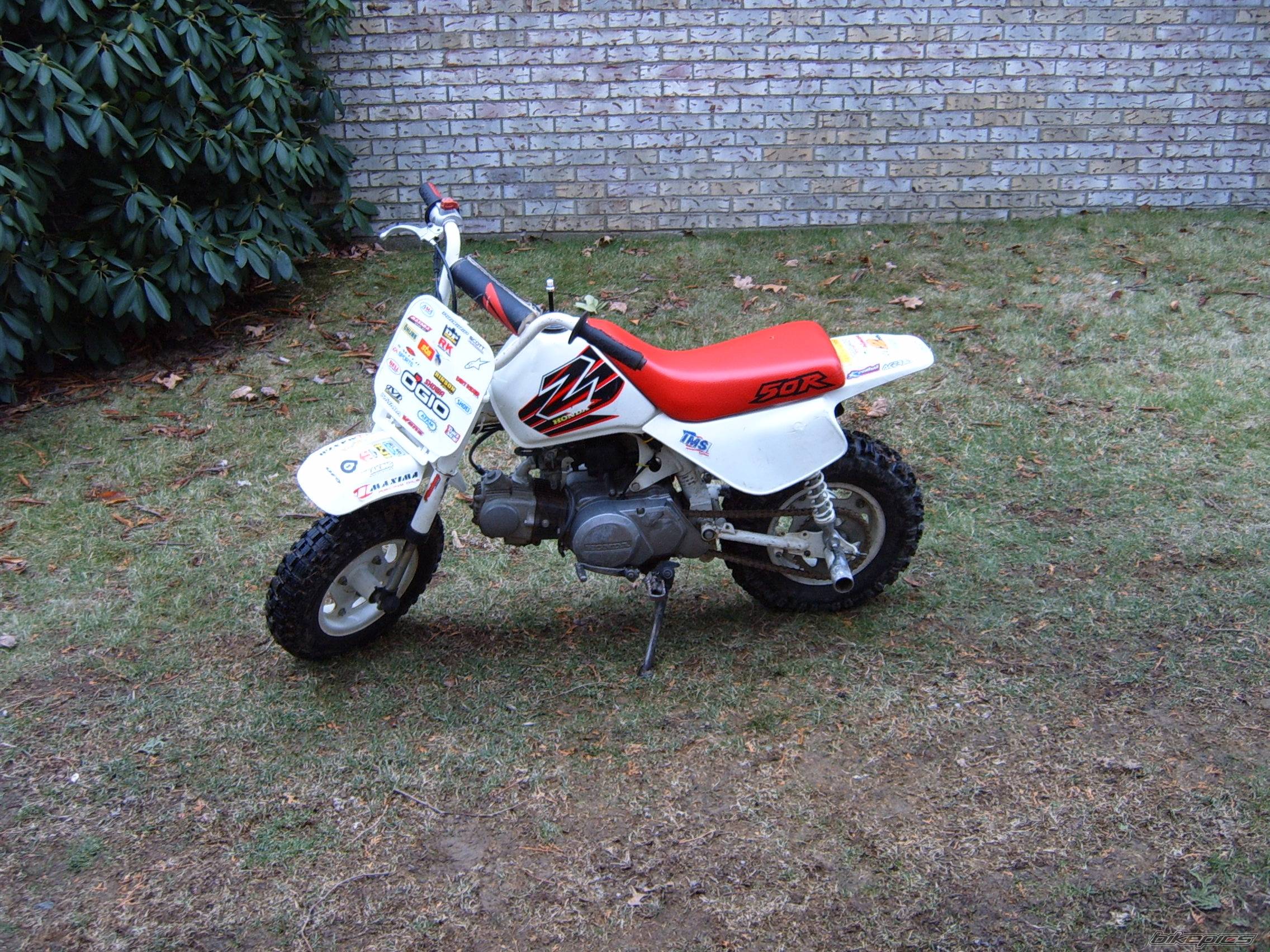 Photo 266759