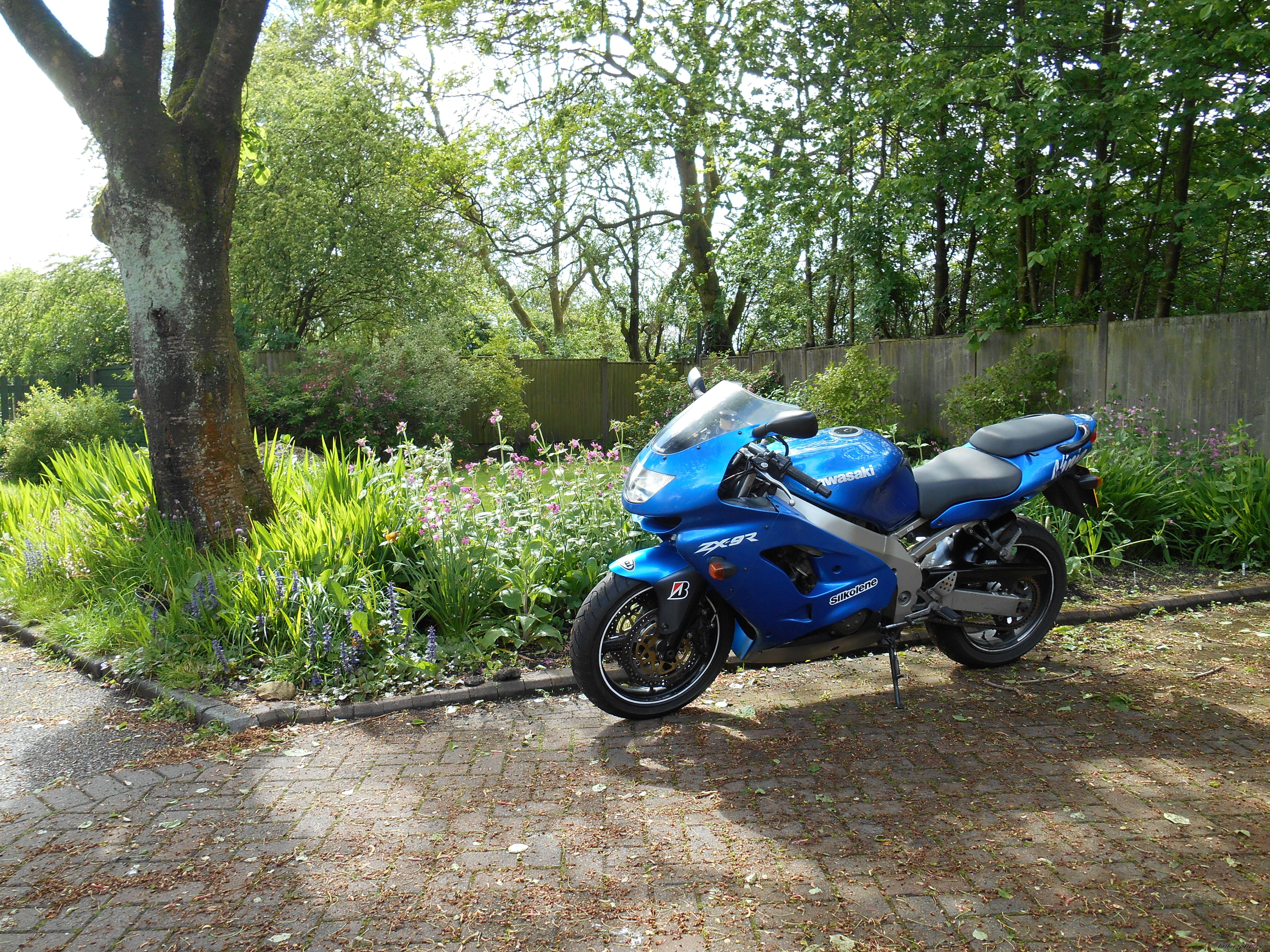 Photo 2667618