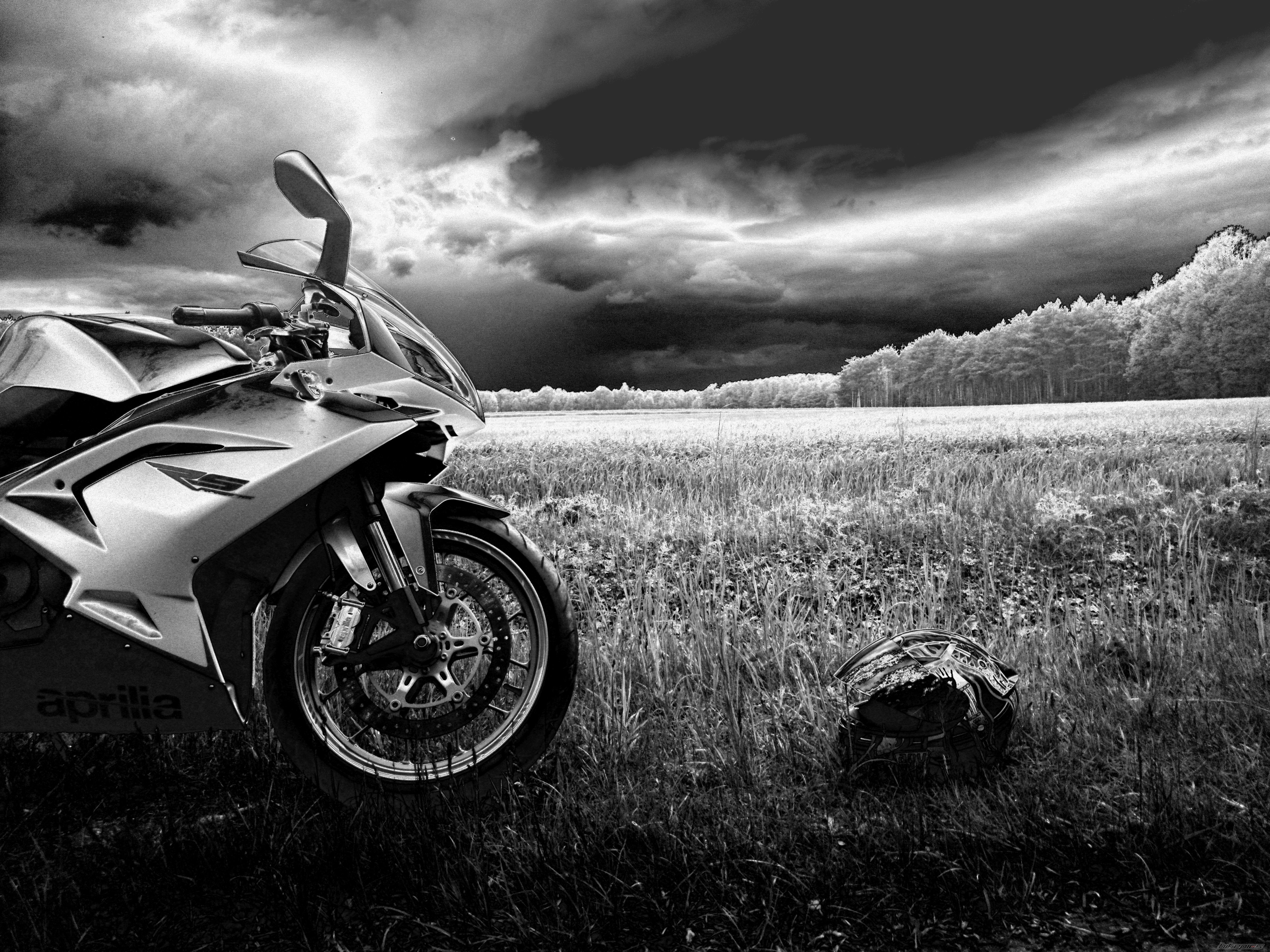 Photo 2667629