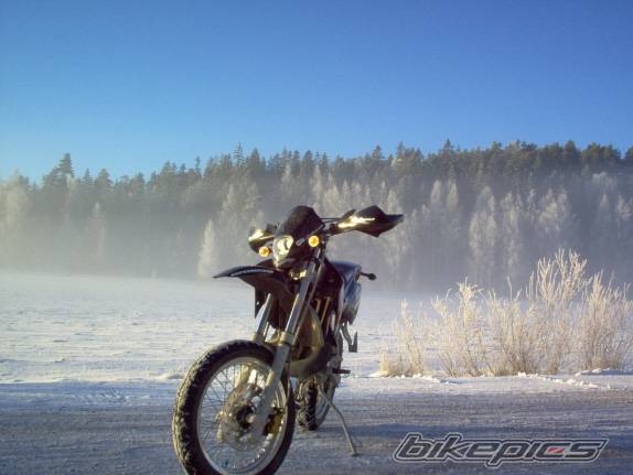 Photo 266779