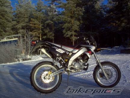 Photo 266782