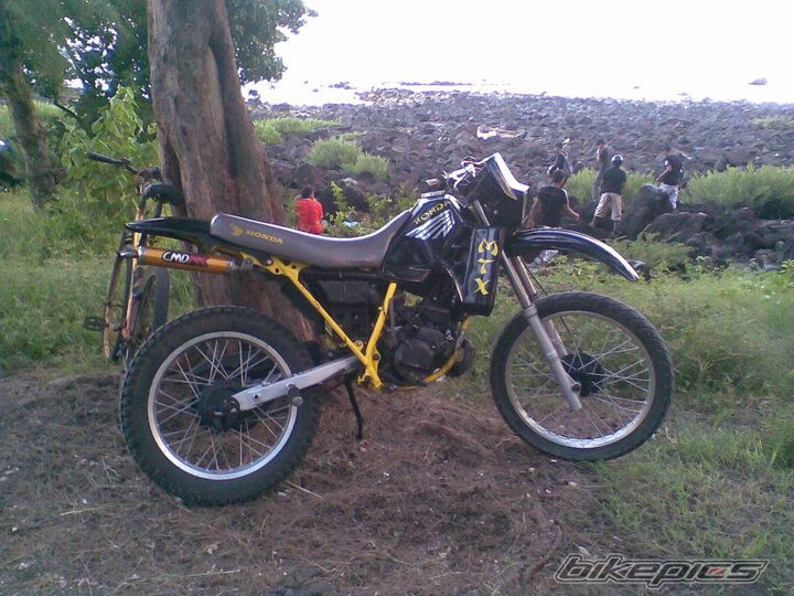 Photo 2667852