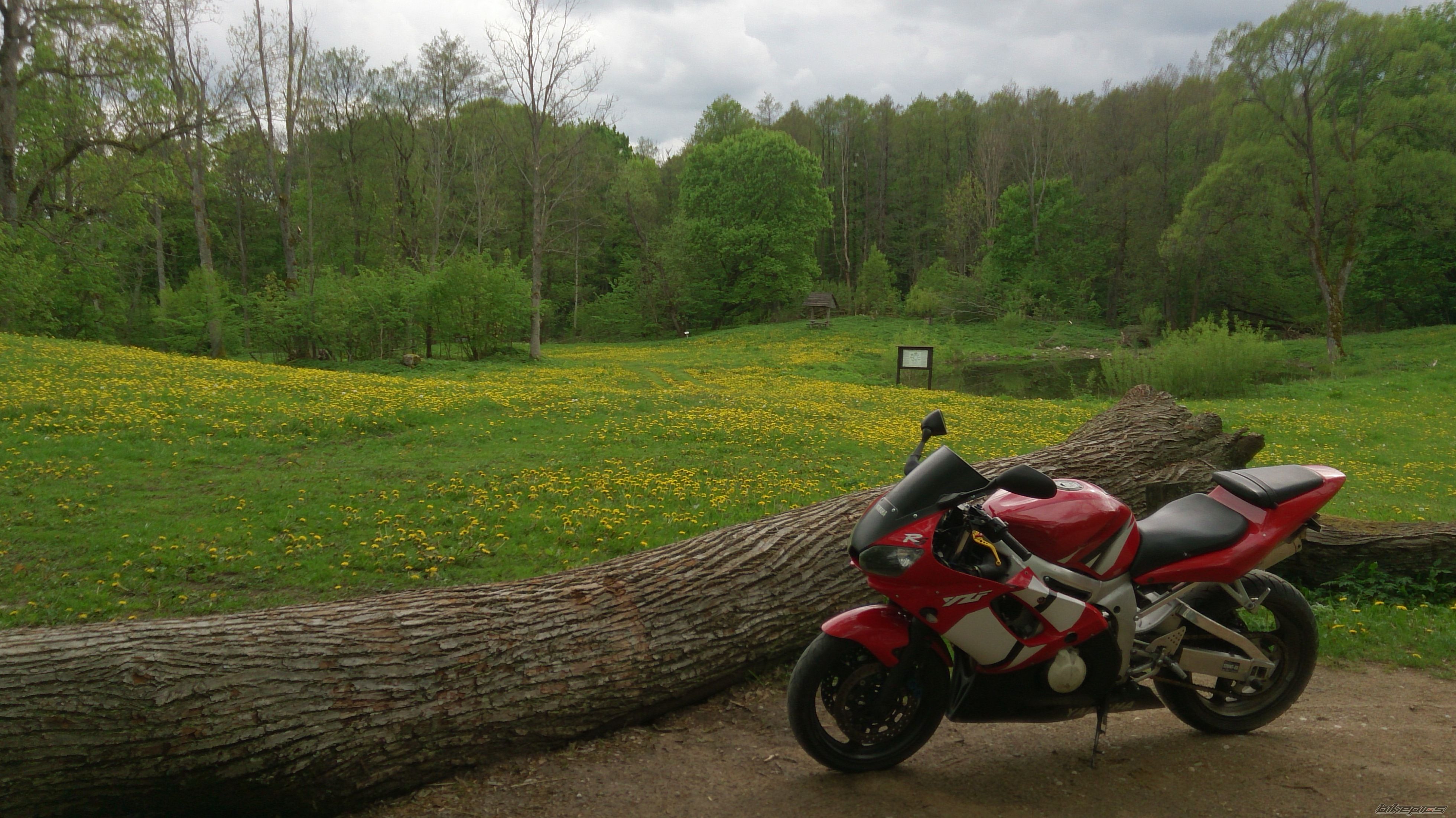 Photo 2668074