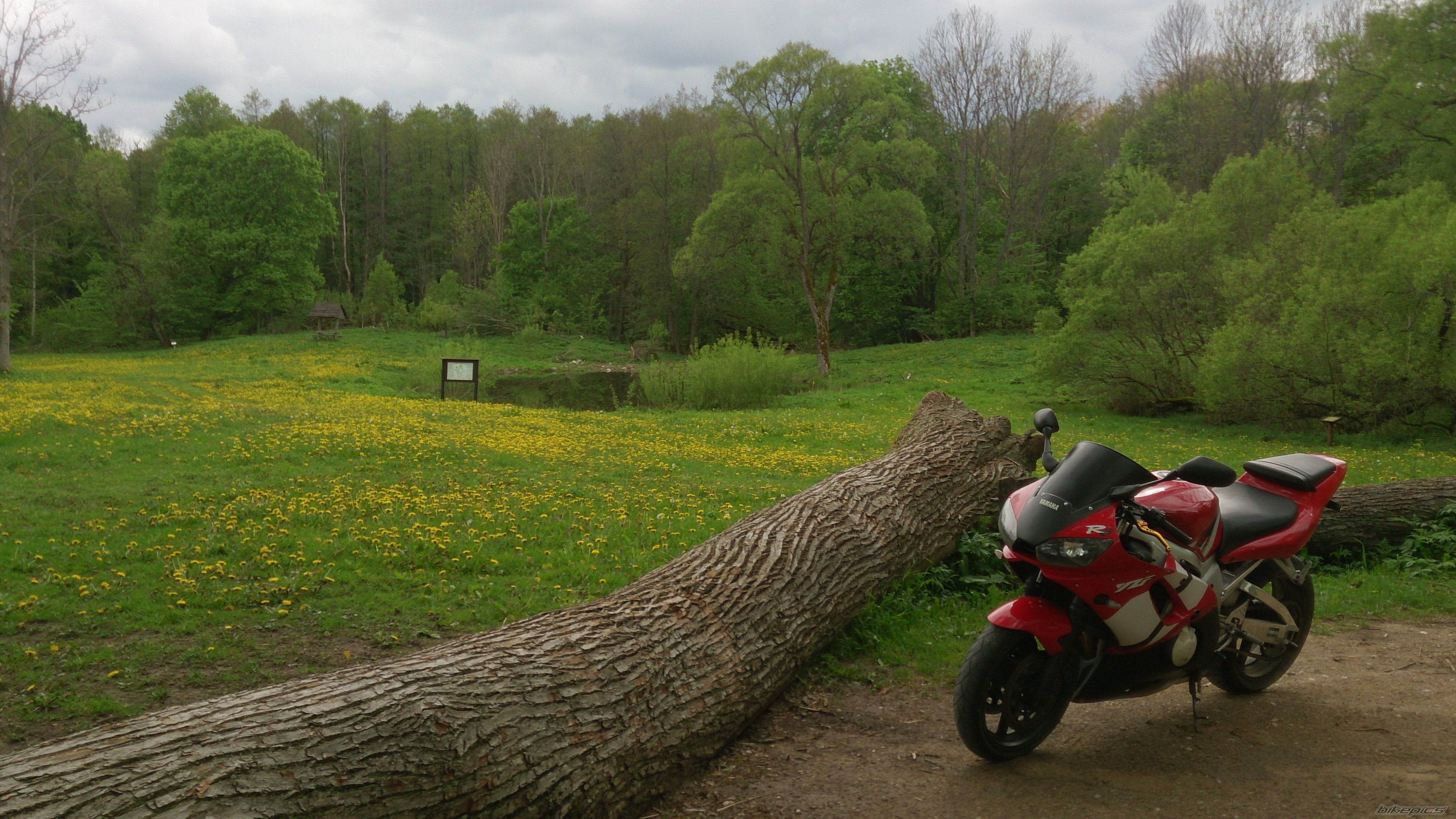 Photo 2668075