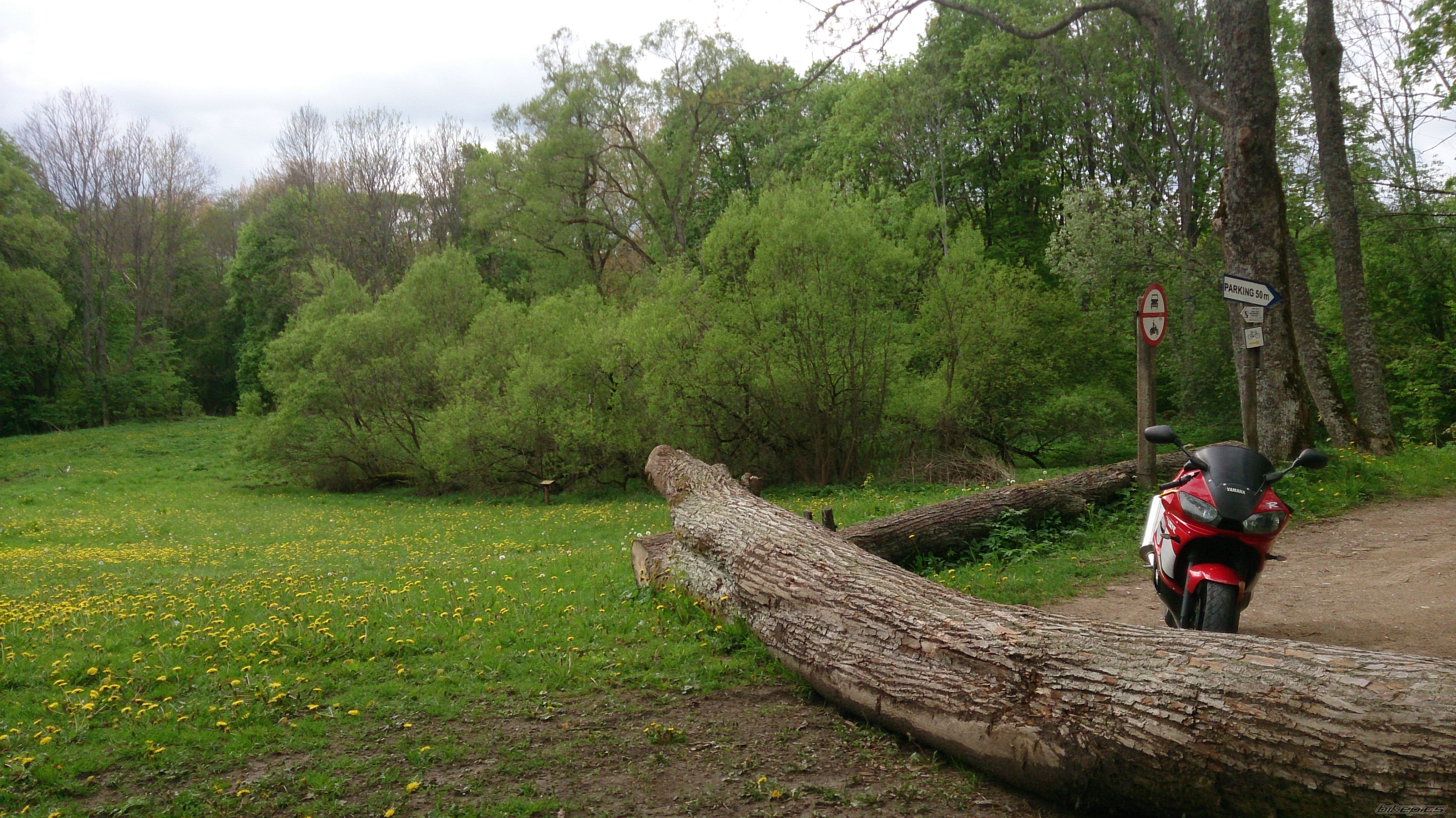 Photo 2668076