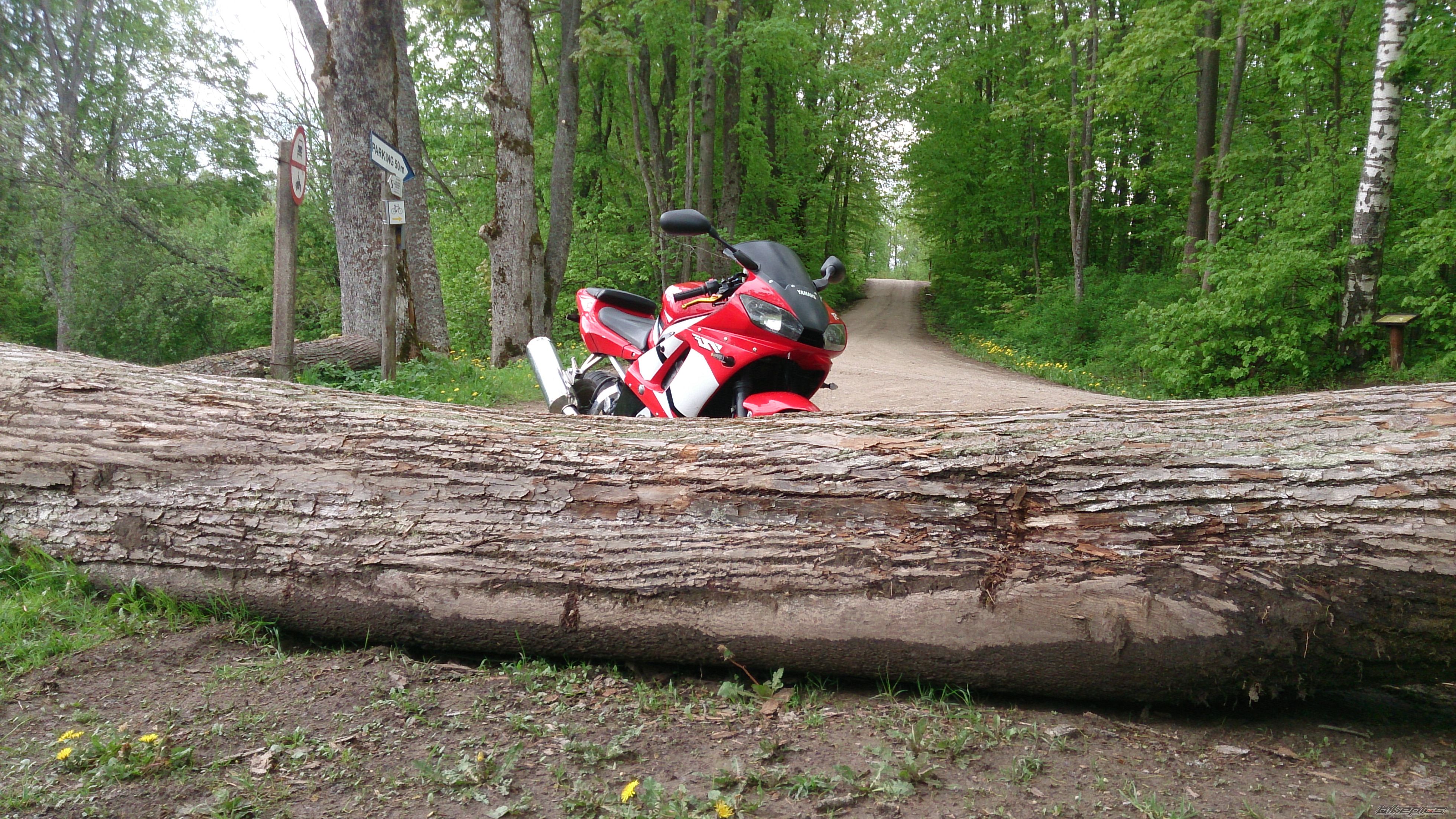 Photo 2668082