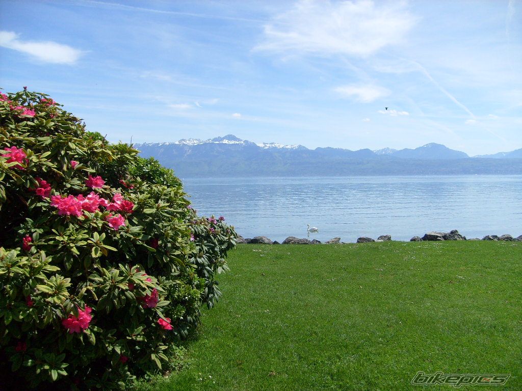 Photo 2668108