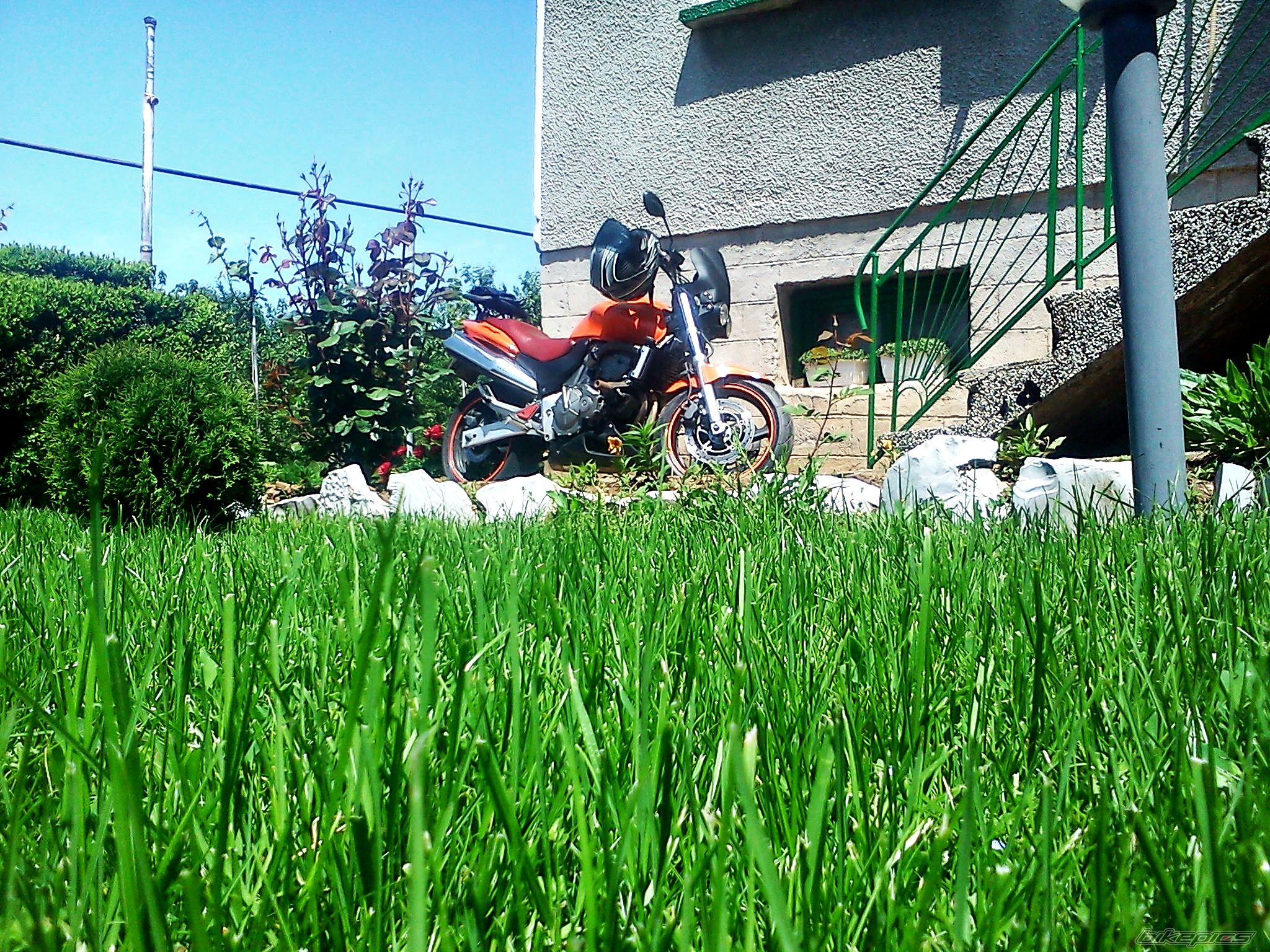Photo 2668139
