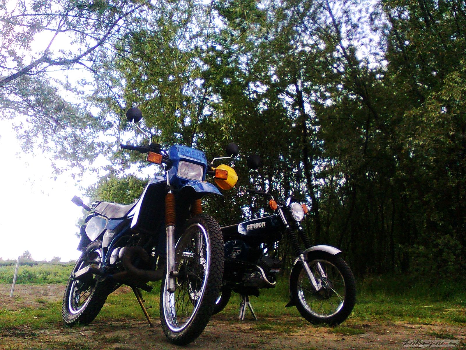 Photo 2668153