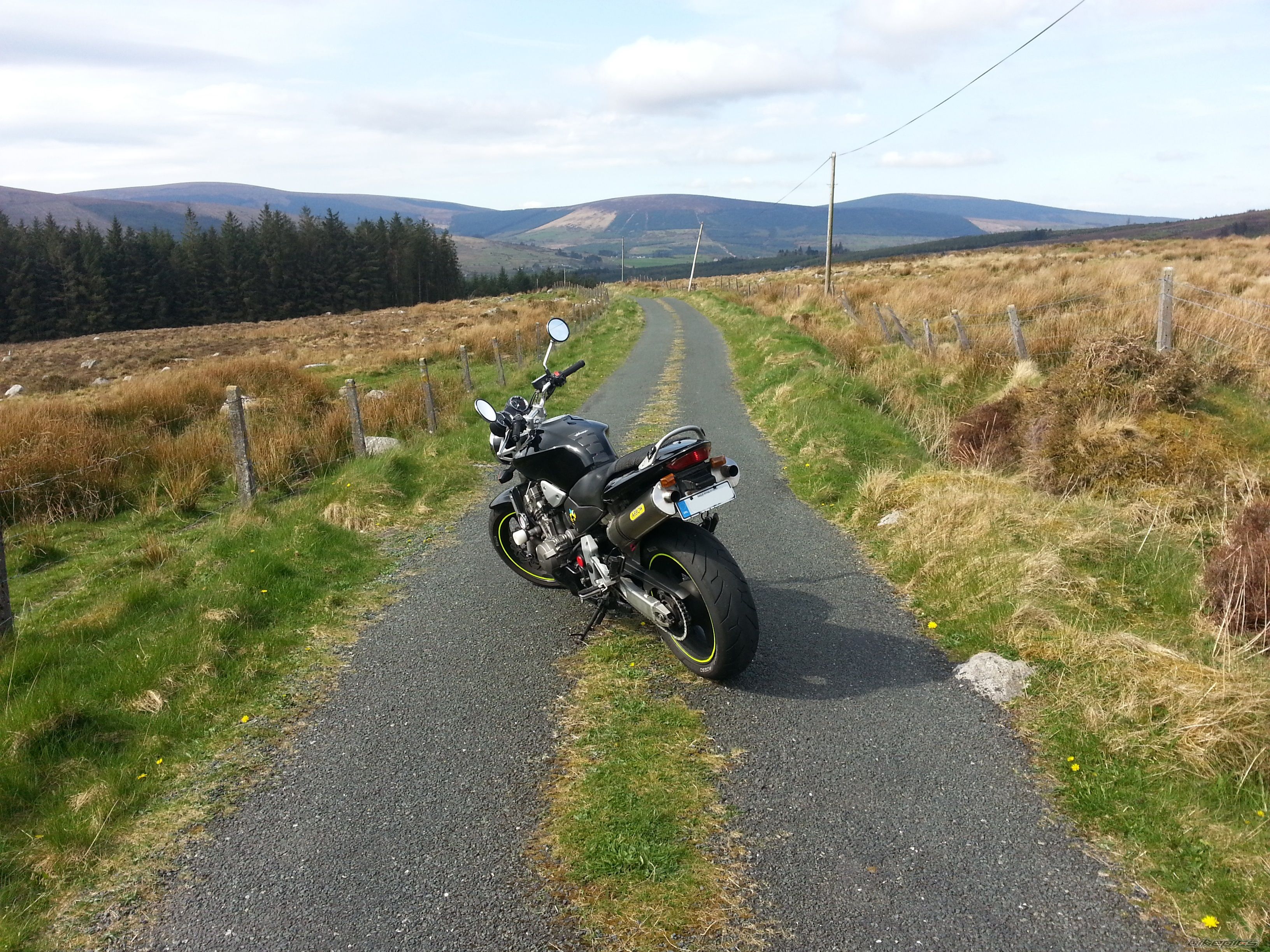 Photo 2668159