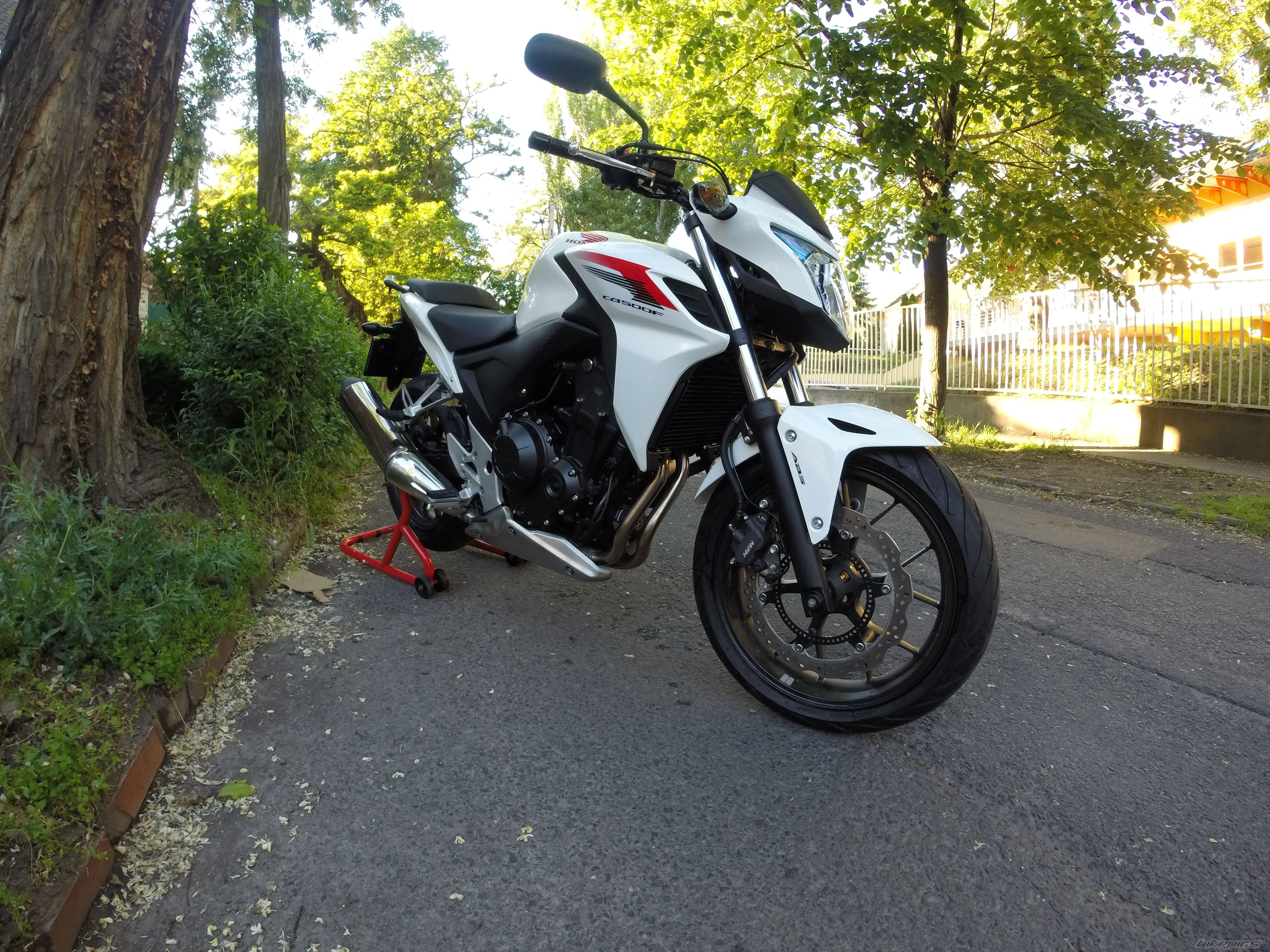 Photo 2668239