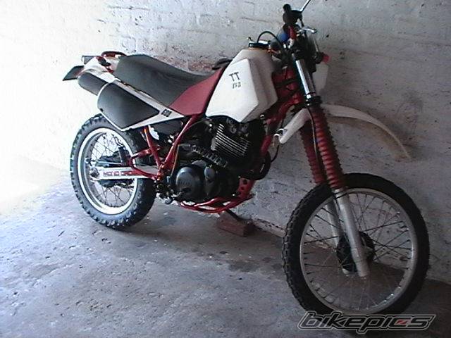 Photo 266824