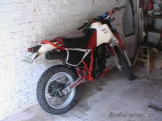 Photo 266827