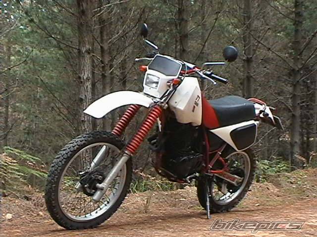 Photo 266829