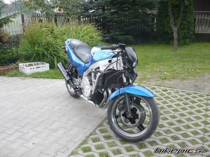 Photo 2668385