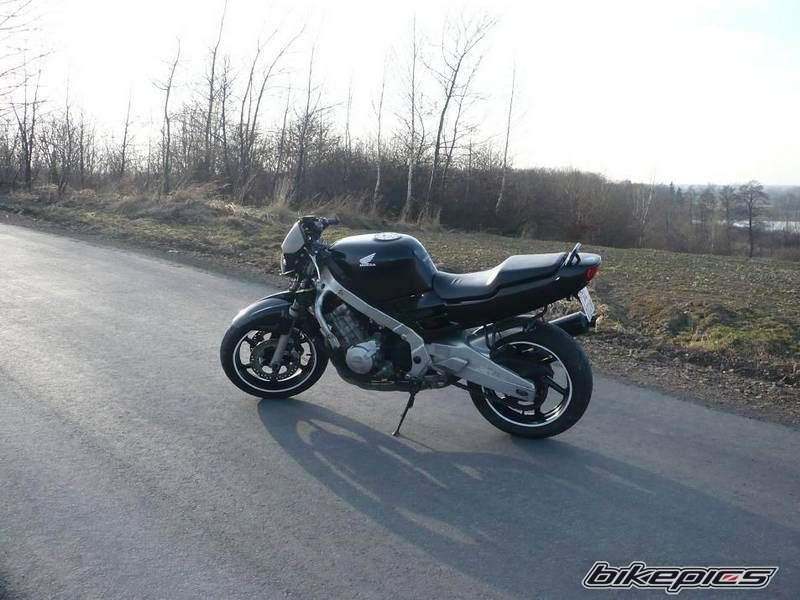 Photo 2668398