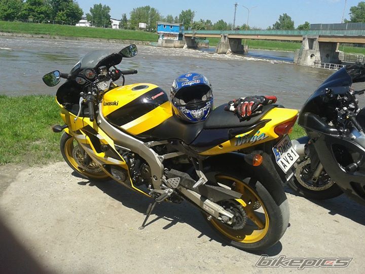 Photo 2668431