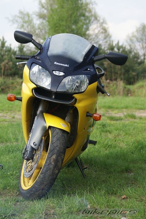 Photo 2668432