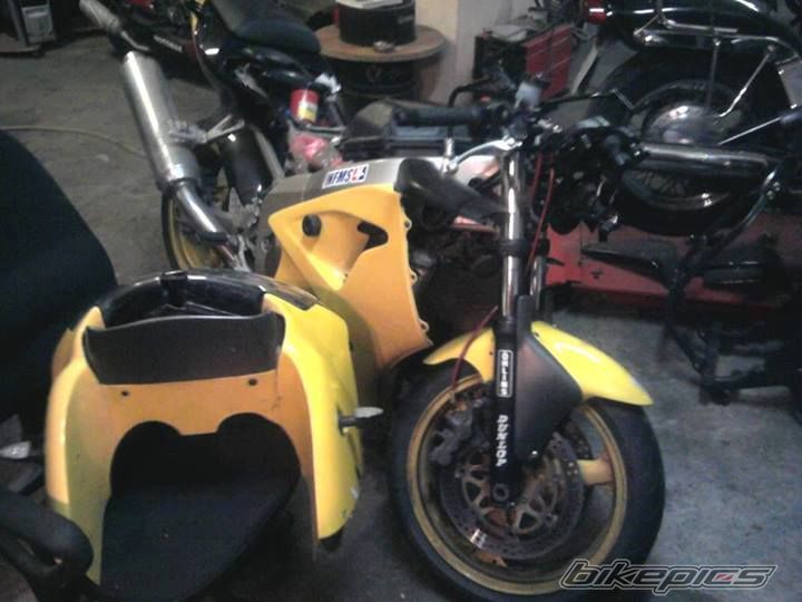 Photo 2668440
