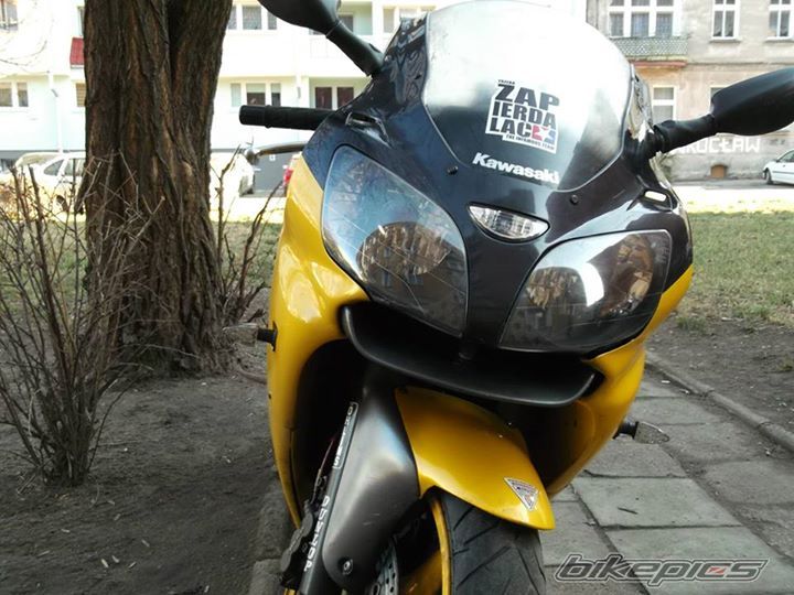 Photo 2668445