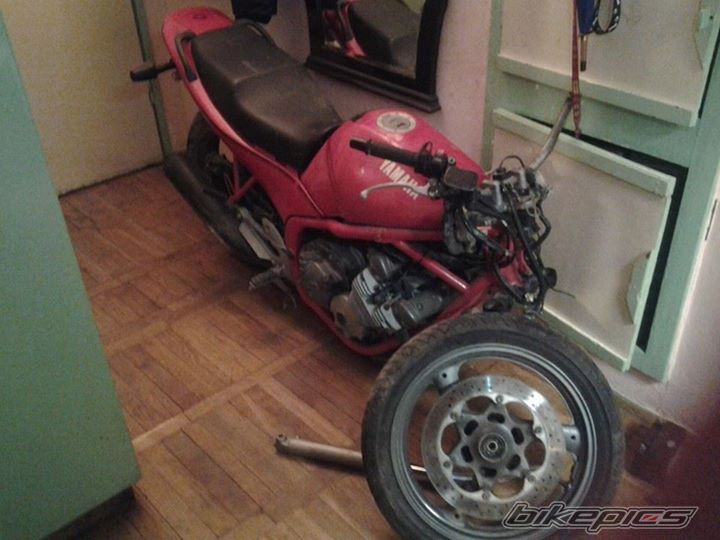 Photo 2668455