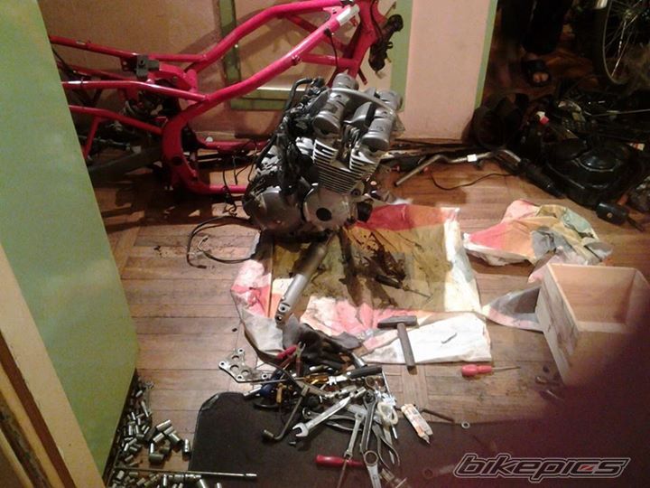Photo 2668461