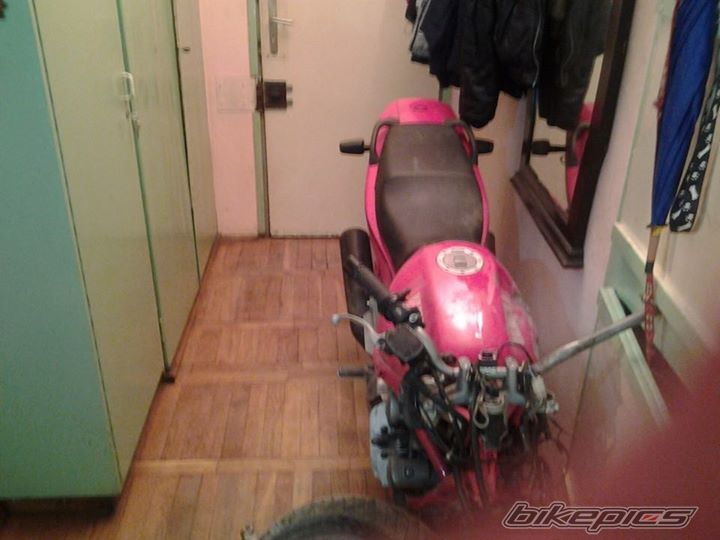Photo 2668463
