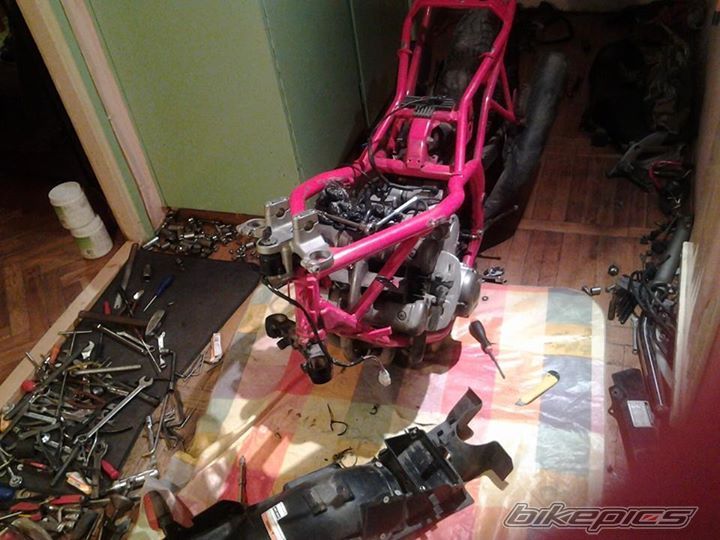 Photo 2668464