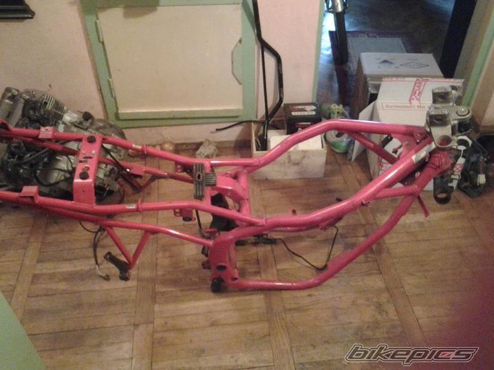 Photo 2668466