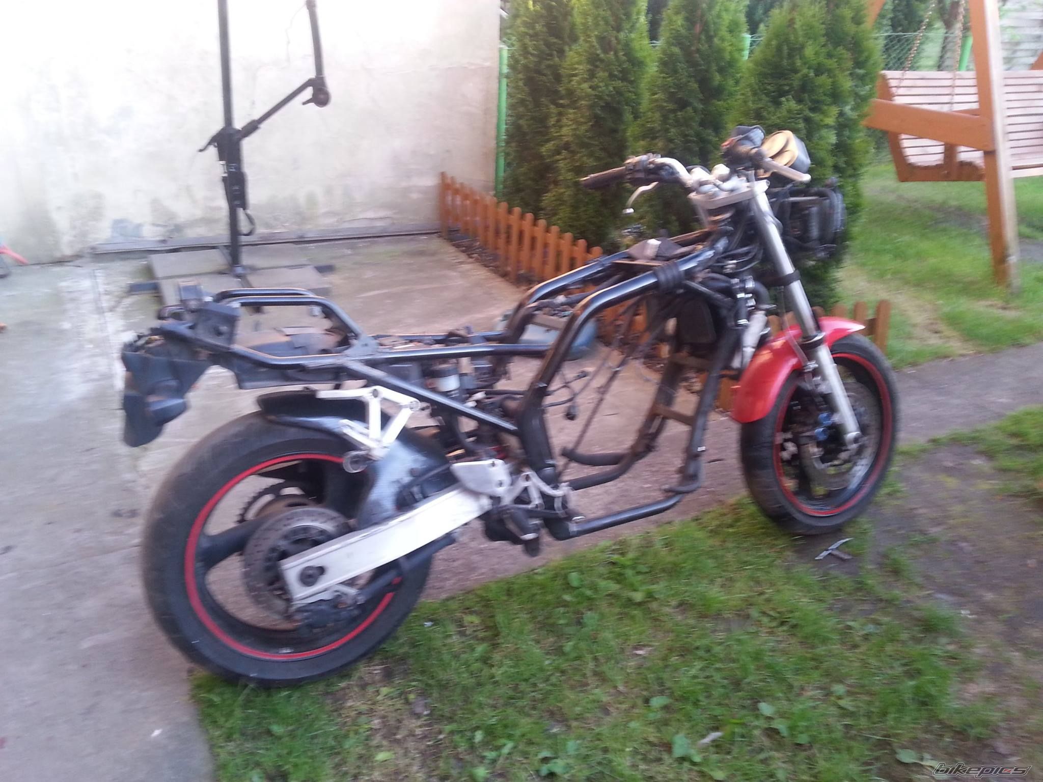 Photo 2668494