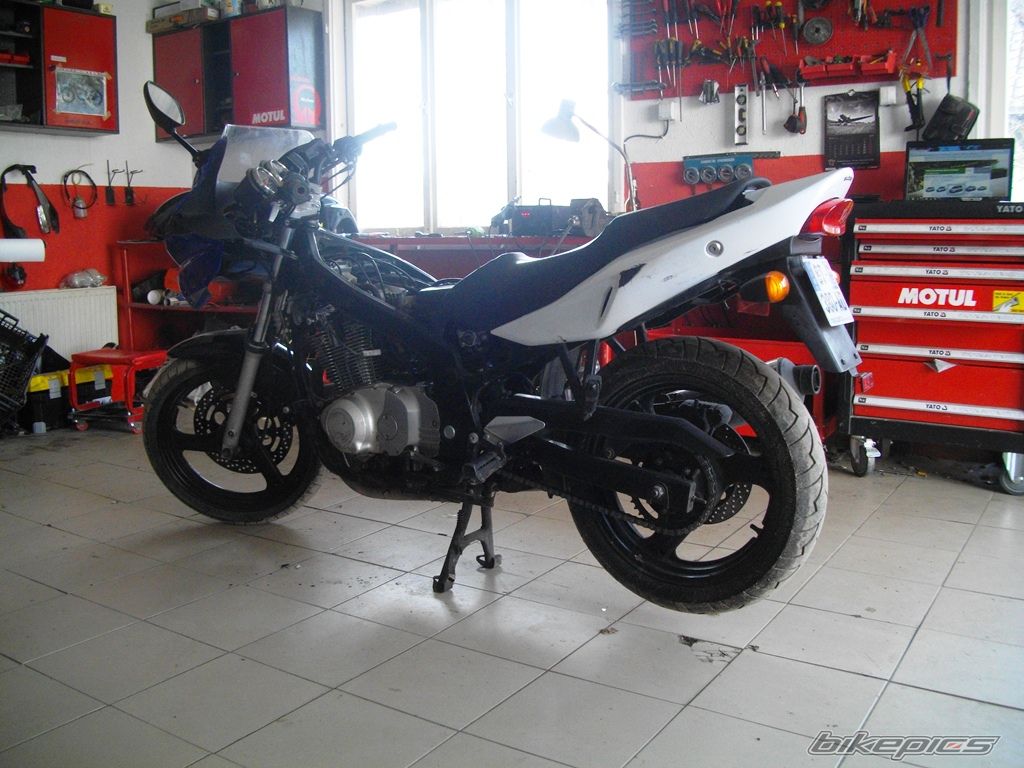 Photo 2668596