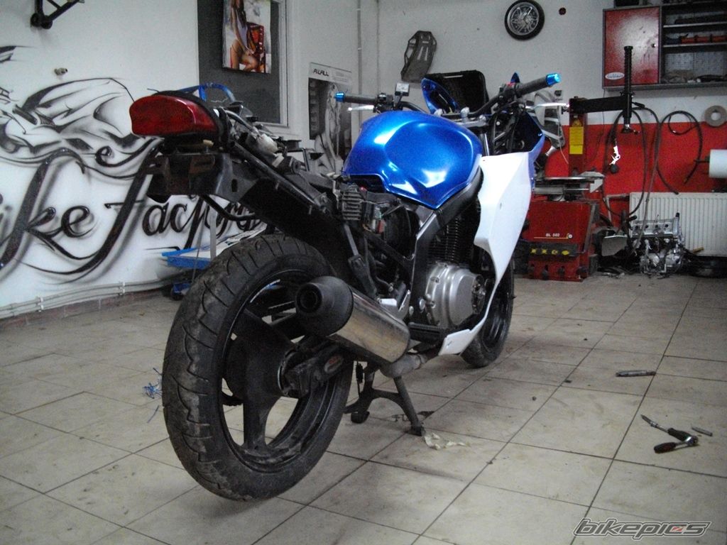 Photo 2668599